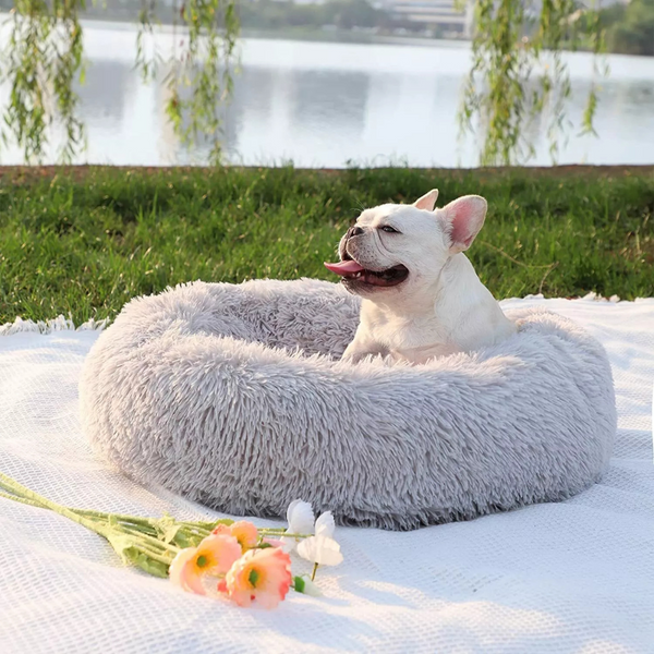 Calming Dog Bed