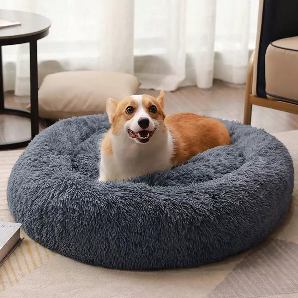 Calming Dog Bed