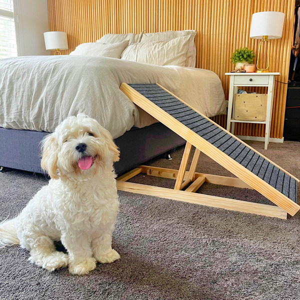 Dog Ramp