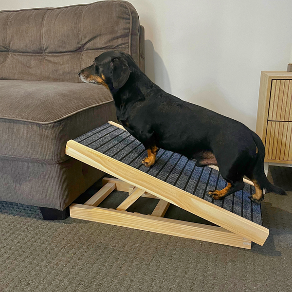 Dog Ramp