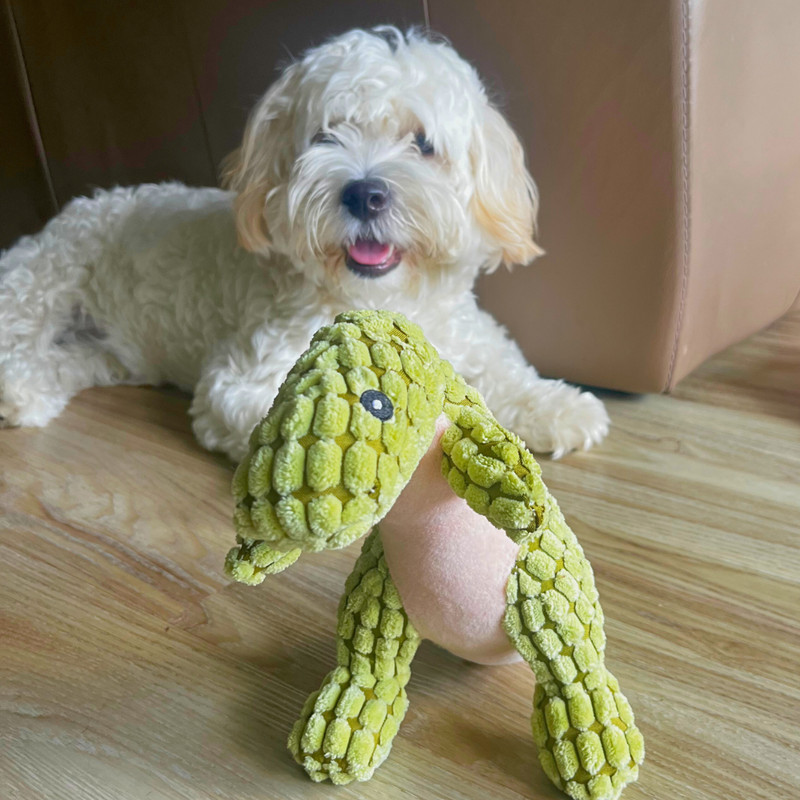 Dog Chew Toy